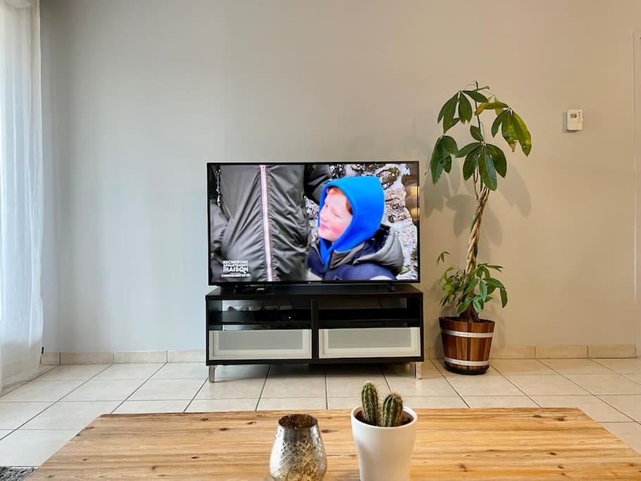 L'Ideal Cosy-Wifi-Netflix Et Garage Vienne  Bagian luar foto